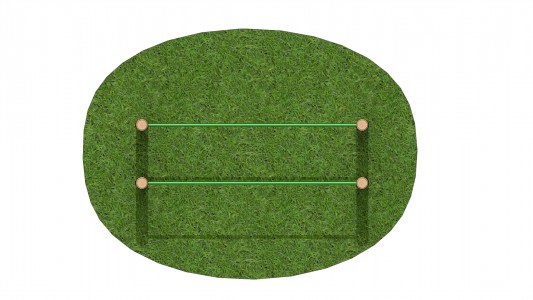 Parallel Bars