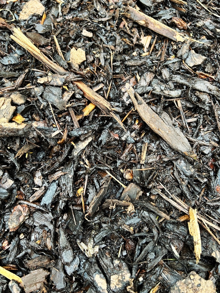 Bark Chippings