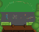 Jungle Adventure Package