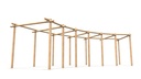 Curved Timber Pergola