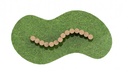 Log Snake