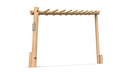 Sloping Monkey Bar Log